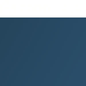 Code Koalas logo