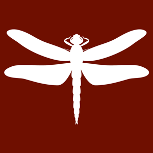CMO4Hire logo