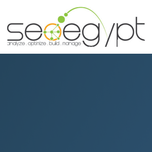 SEO Egypt logo