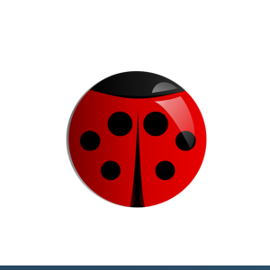 WadyBug LLC logo