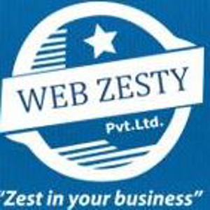 Webzesty Pvt Ltd logo