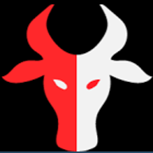 BetaBulls Inc logo