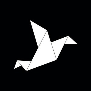 IT DEV GROUP logo