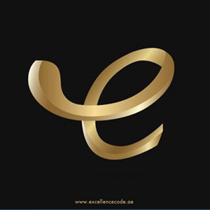 Excellence Code logo