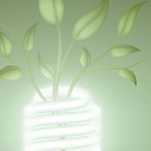 Your HR Advisor, LLC. logo