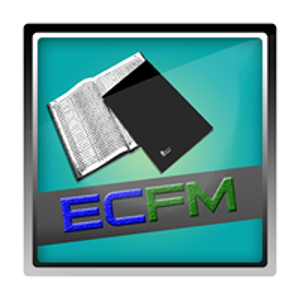 ECFM Accounting and Auditing Services logo