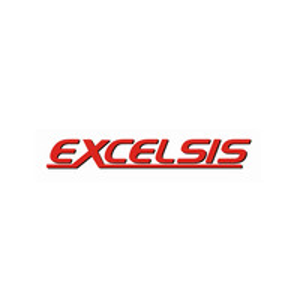 EXCELSIS logo