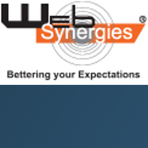 Web Synergies Pvt. Ltd logo