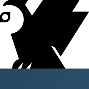 MERIT logo