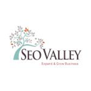 SEOValley Solutions Pvt. Ltd. logo
