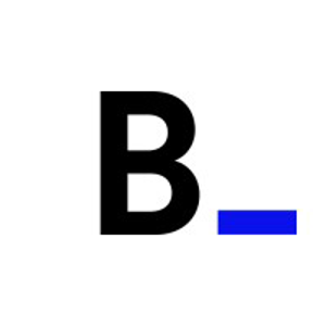Bitnoise logo