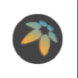 Website Facelifter logo