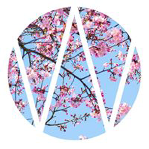 Wunderman South Africa logo