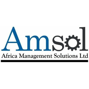 AMSOL Consultants Logo