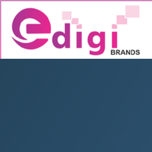 Edigibrands- A Digital Marketing Agency logo
