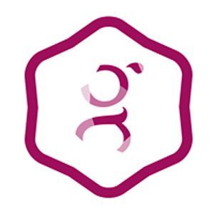 Graffity Studio logo