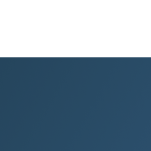Ingelsi Cia Ltda logo