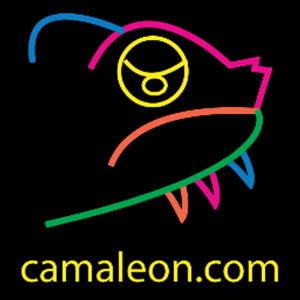 Camaleón Diseño Visual logo