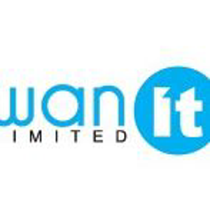 WAN IT Limited logo