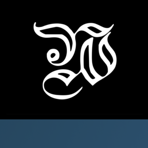 Wish Kingdom Studios logo
