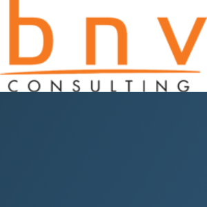 BNV Consulting logo