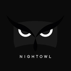 NightOwlSEO logo