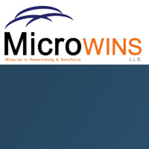 Microwins LLC logo