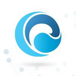 Ripple Digital logo