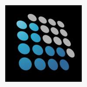 Synergy Interface Ltd. logo