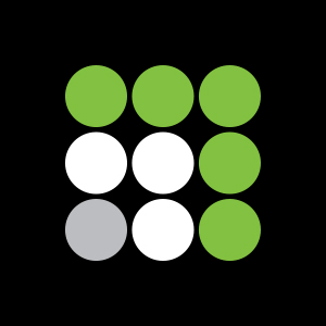 Paradigm Strategies logo