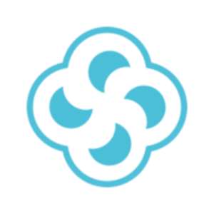 Survin IT Solutions logo