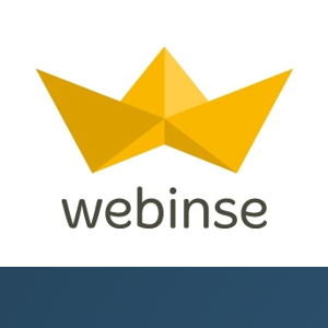Webinse logo