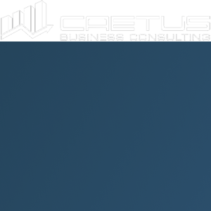 Caetus Business Consulting logo