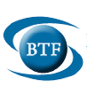 Best Tax Filers logo