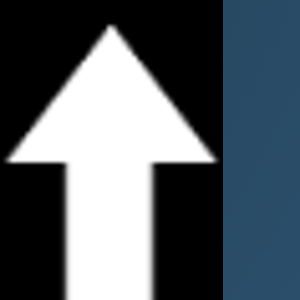 ParadigmNEXT logo