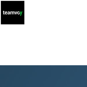 Teamvoy logo