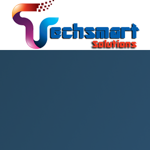 Techsmart Solutions logo