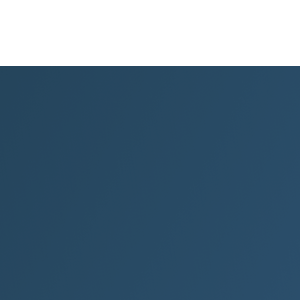 Portfolio Interactive logo