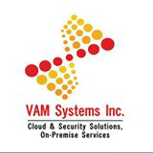 VAM Systems logo