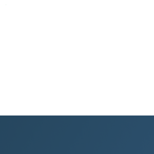 Itexus logo