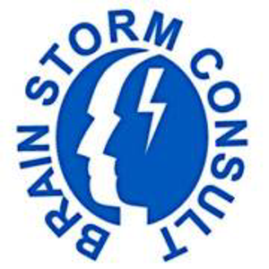 Brain Storm Consult logo
