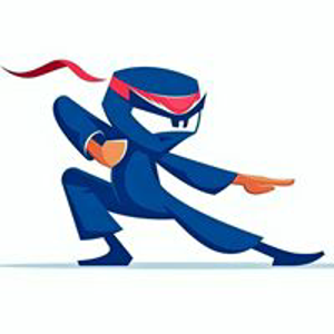 Blueninja.io logo