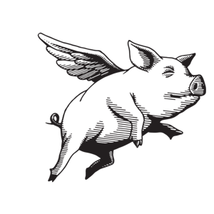 Darwin Brand Consultants logo