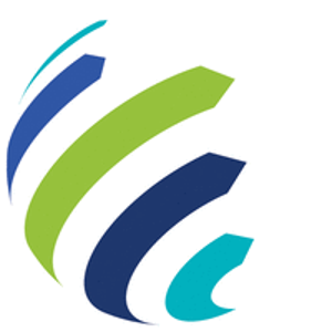 Stefanini logo