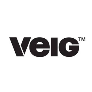 VEIG logo