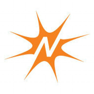 Neuron Syndicate logo