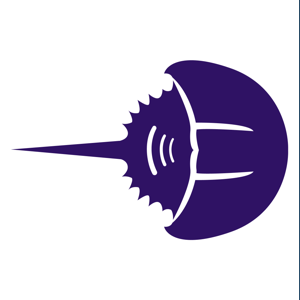 Cambria Software logo