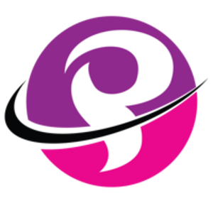 Palette Point Solutions logo