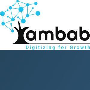 Ambab Infotech logo