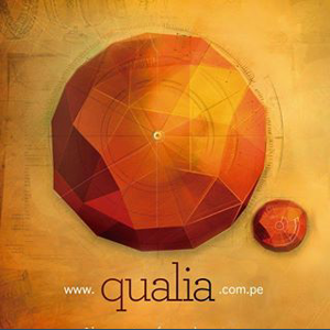 Qualia Publicidad logo